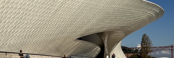 bay_snark Profile Banner