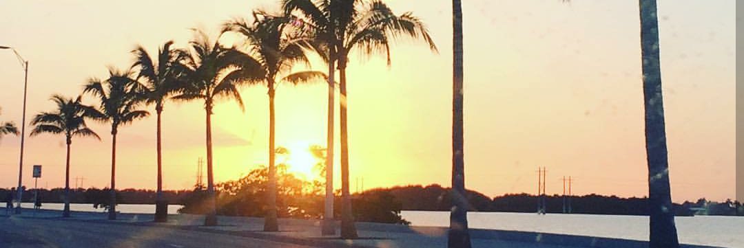 Em_marie15's profile banner image