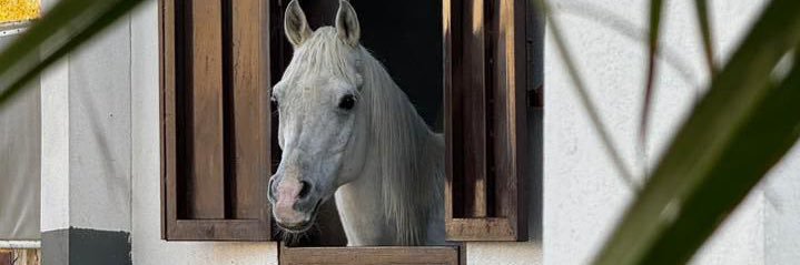 م. عبدالعزيز المرشد banner