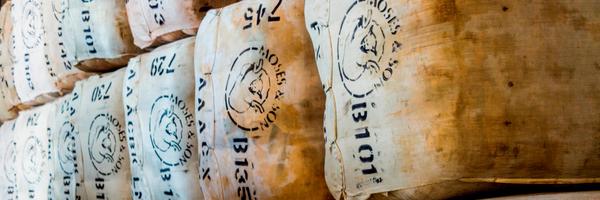 Moseswool Profile Banner