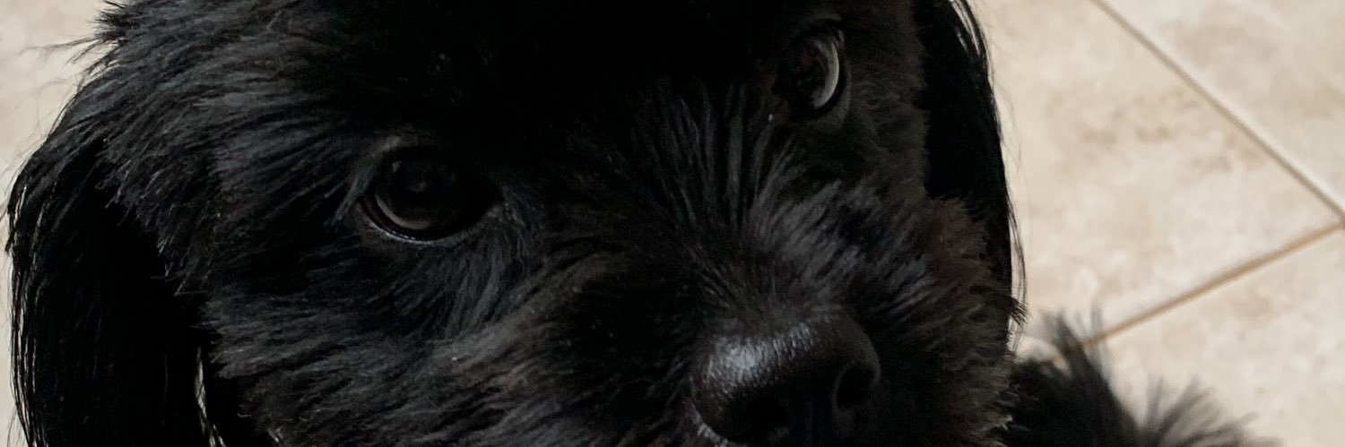 JoiceFernaandes's profile banner image
