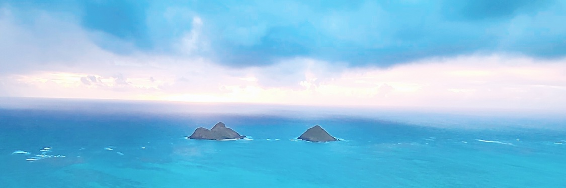 _YMGO's profile banner image