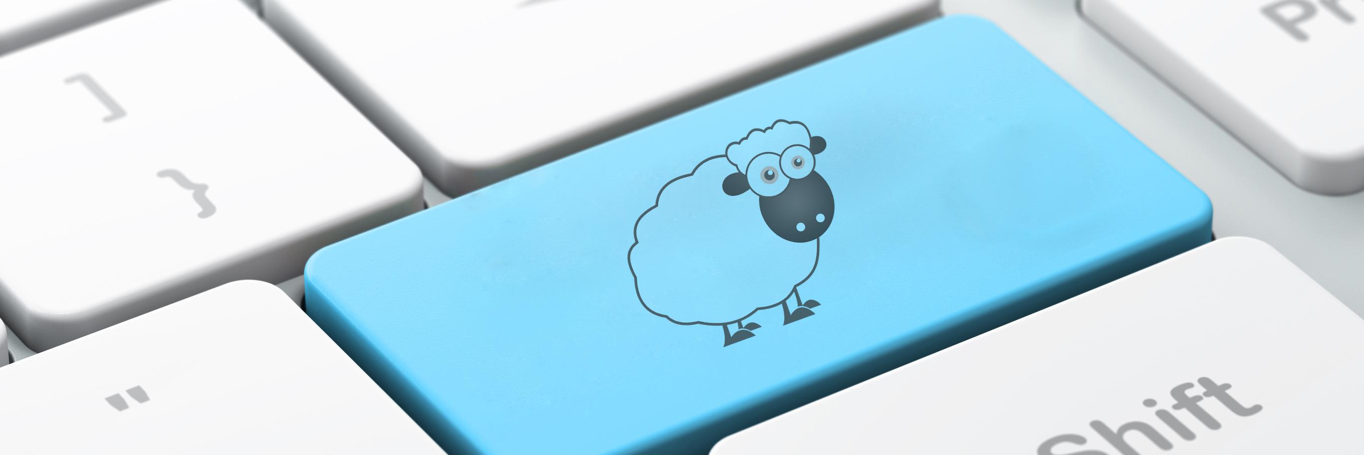 SheepCharge's profile banner image