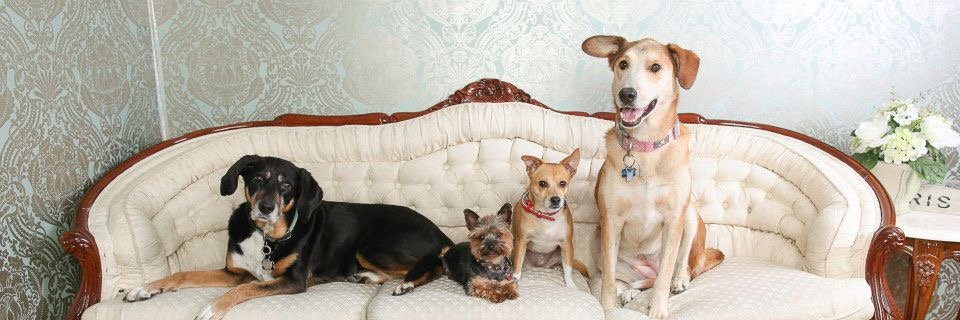 BandBLeduc's profile banner image