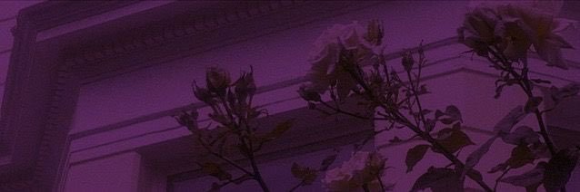 iammariahq's profile banner image