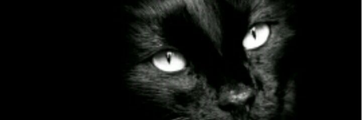 Diamond_1614's profile banner image