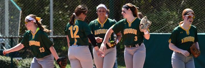 AUDUBON SOFTBALL banner