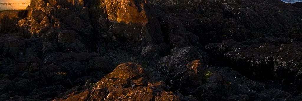 sparowlook's profile banner image