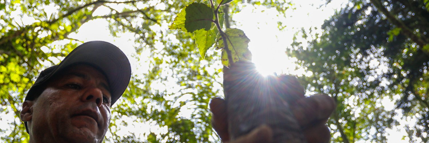 Secretaría de Medio Ambiente banner