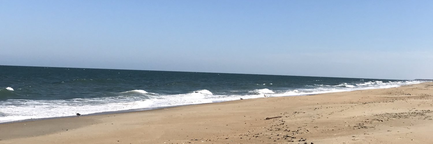 Rachel Carlson banner