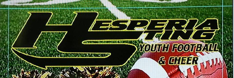 hesperia_sting's profile banner image