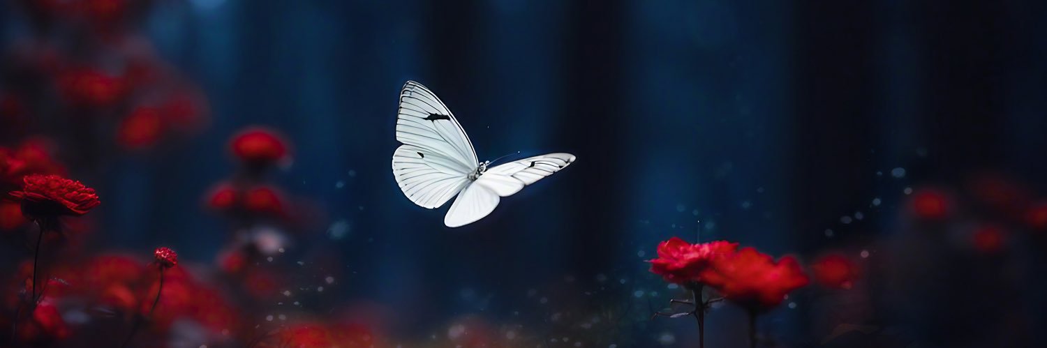 Morgaine_Musik's profile banner image