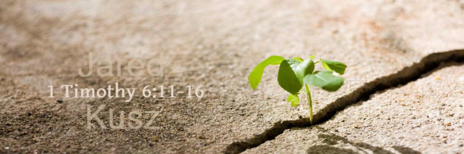 JaredKusz's profile banner image