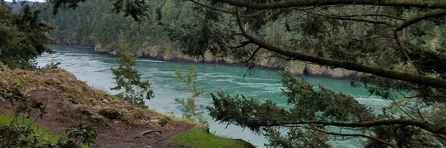 tamwat4's profile banner image