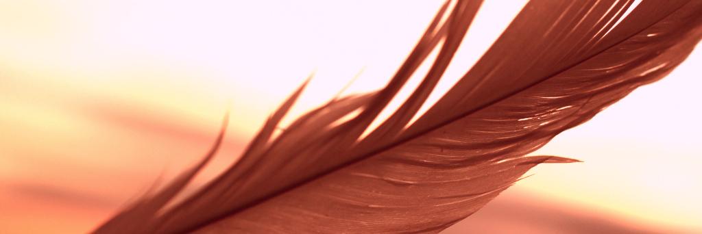 Phoenix Voice banner