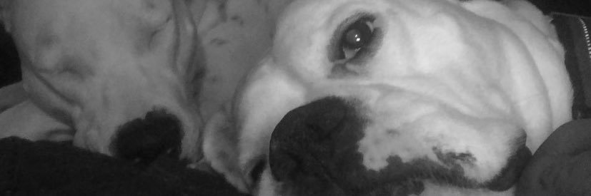 Ebbayybayy's profile banner image