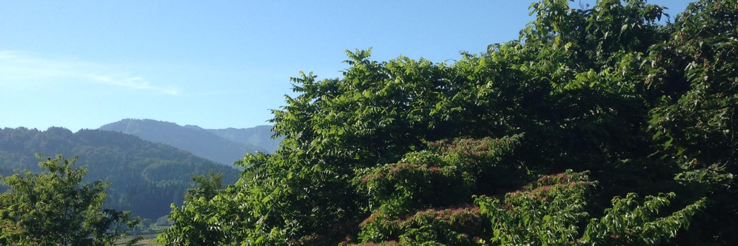 new3663's profile banner image