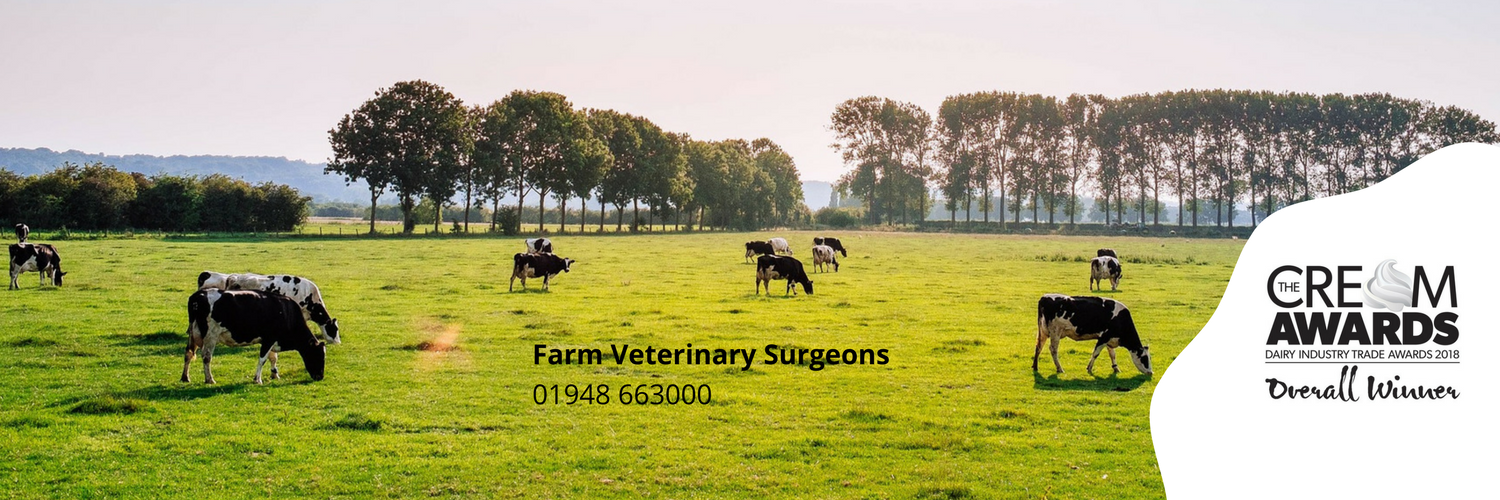 LLM Farm Vets banner