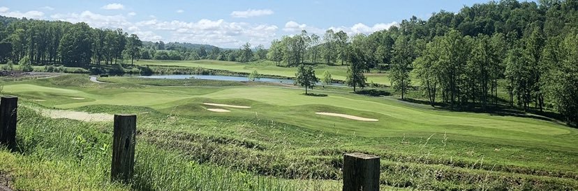 Stacy Williams banner