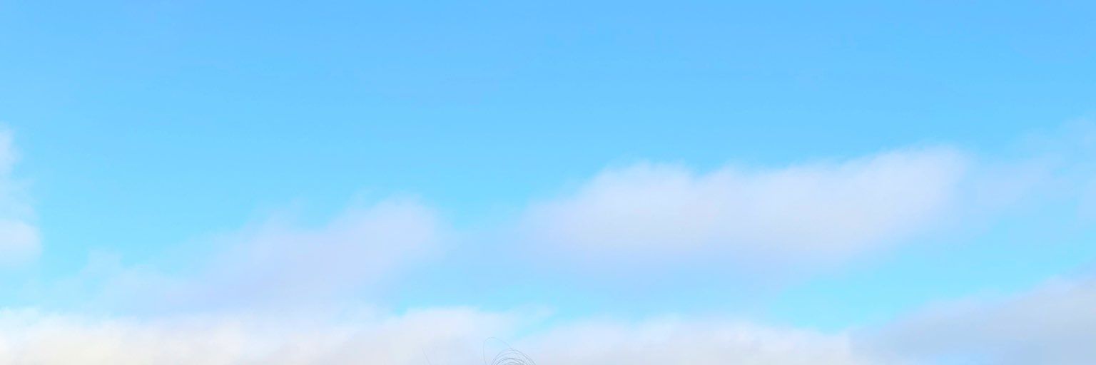 nik_lp's profile banner image