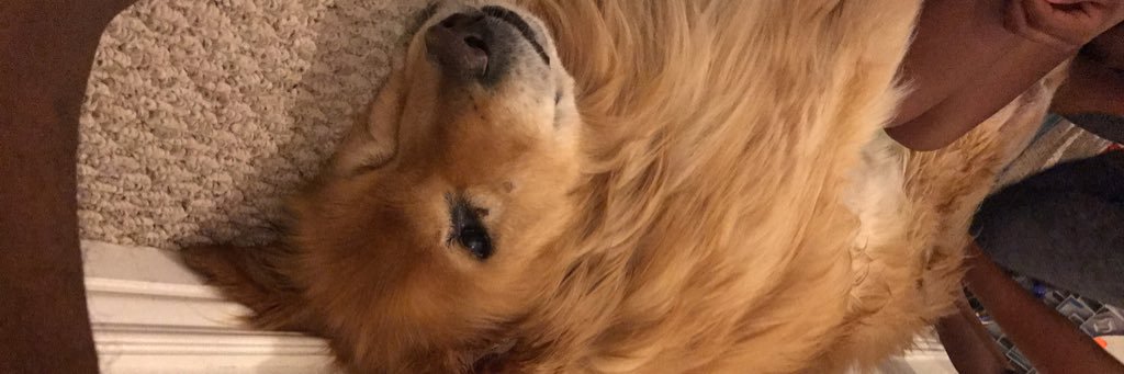D_craig101's profile banner image