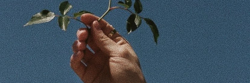 _aamiry's profile banner image