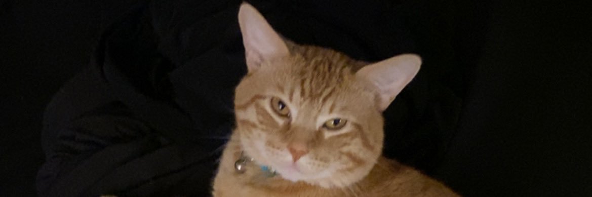 quicee_'s profile banner image