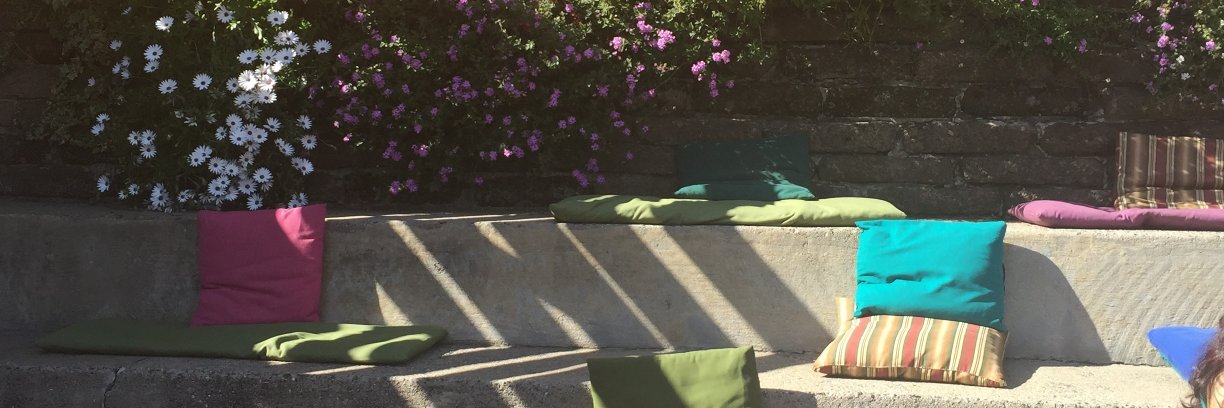 Carol Damewood Spann banner