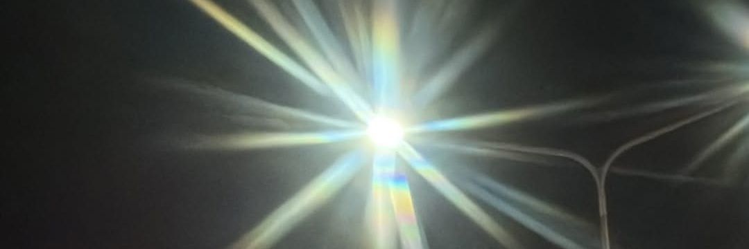 🄻🄸🄻🄸🄽ʕ⁠っ⁠•⁠ᴥ⁠•⁠ʔ⁠っ banner