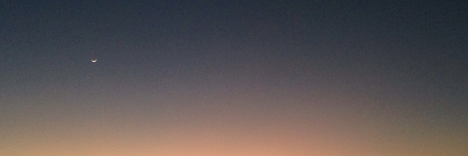 vialullaby's profile banner image