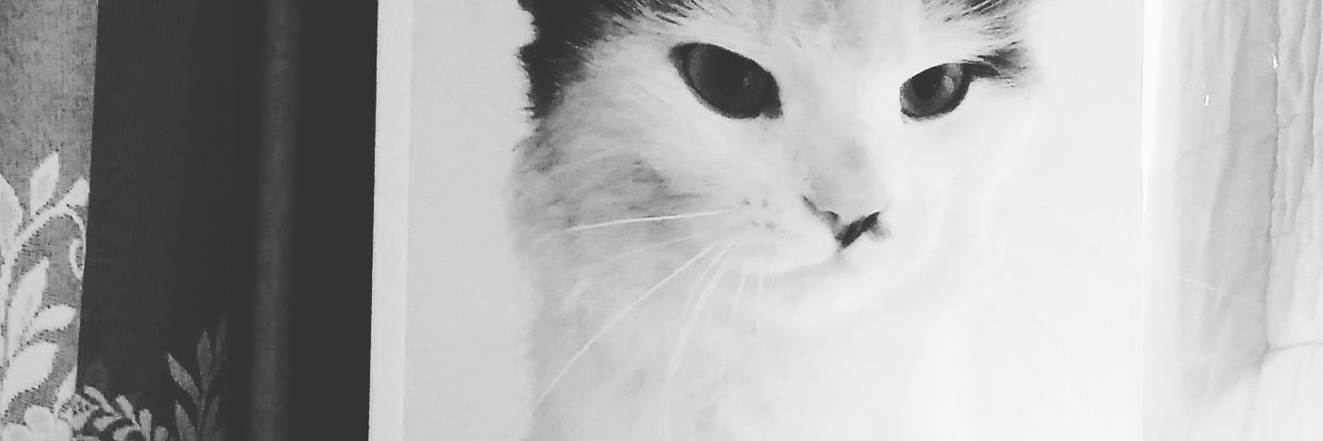 kovshmarina's profile banner image