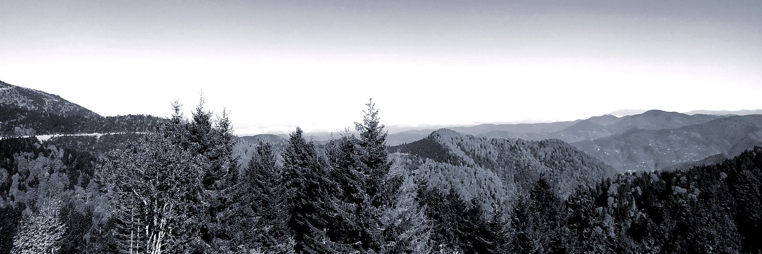 _dilsah_'s profile banner image