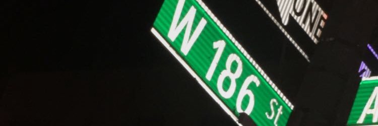 Boobookittyyy__'s profile banner image