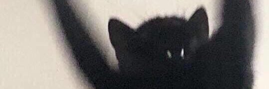 🤷🏻‍♀️ banner