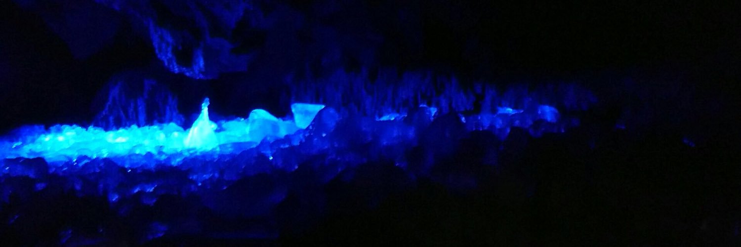 Toakotyu's profile banner image