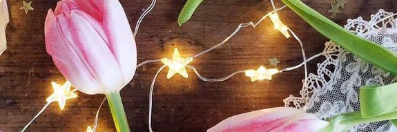 oxlauren's profile banner image
