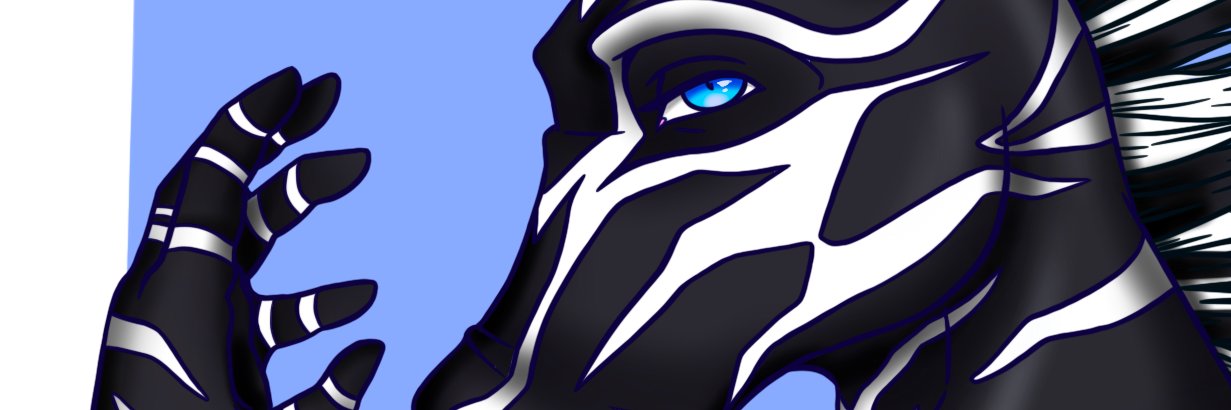 Z33B_25's profile banner image