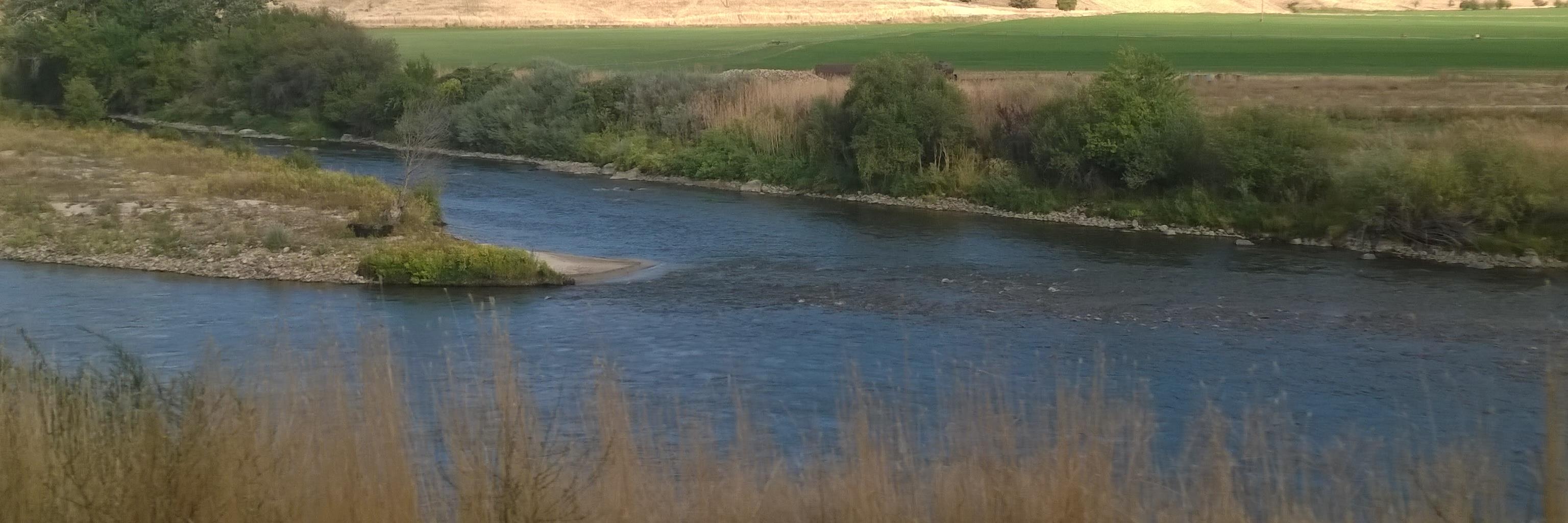 Chris Mertens banner