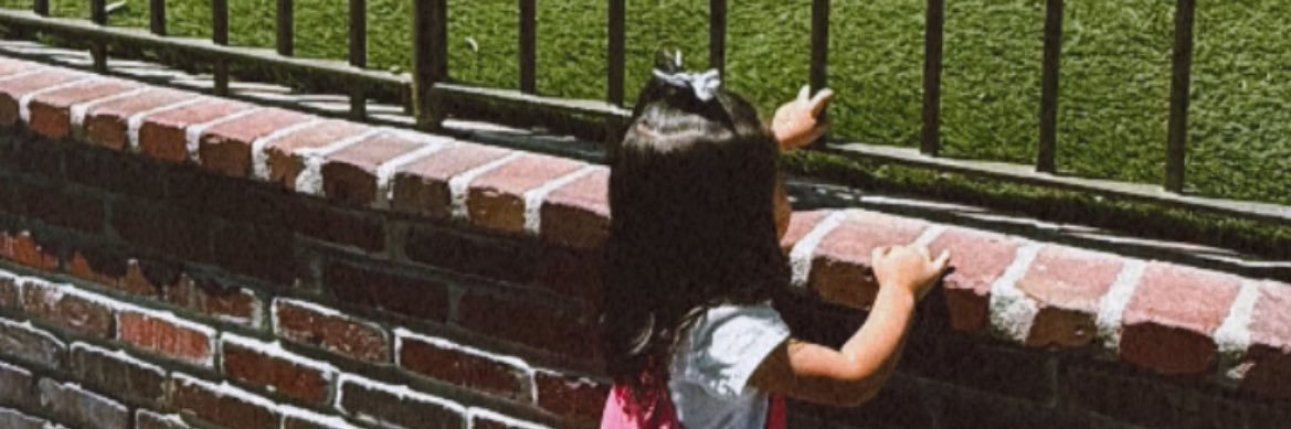 evelinxiimena's profile banner image