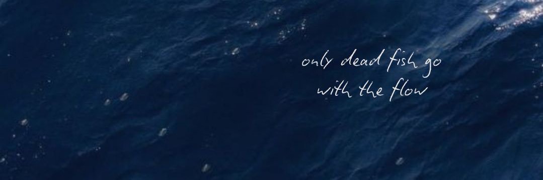 beirutheal's profile banner image