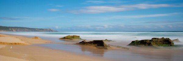 philip_johnson8 Profile Banner