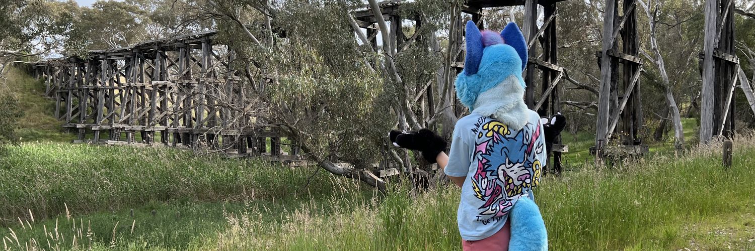 FrostyBlueberry's profile banner image
