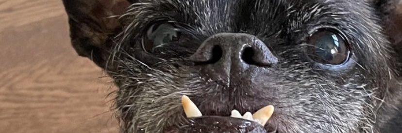 Sethsworld's profile banner image