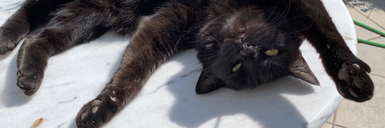 Laura Blanken 🕷💙🐰🇺🇦🌻 banner