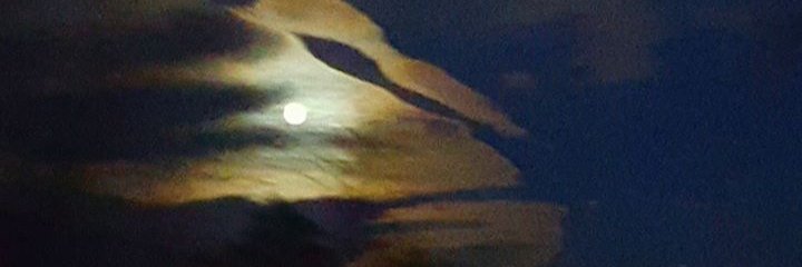 dev_g_bennett's profile banner image
