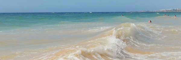 PTGStorm Profile Banner