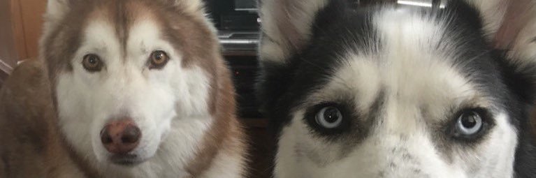 weddingcrasers's profile banner image