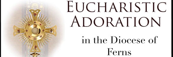 TerryPMcNamee Profile Banner