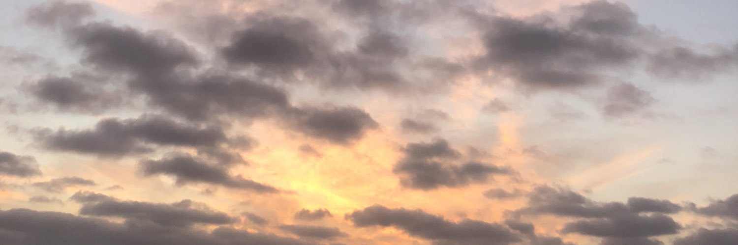 raquelsofia_'s profile banner image