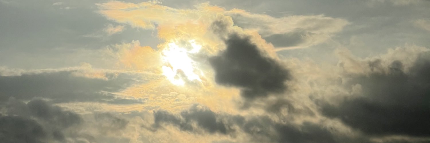 Roseanamoon's profile banner image